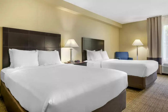 Experience Comfort And Save Money When You Stay At A Top-Rated Orlando Hotel Booked Through Orlando Vacation Hotels. Book Today For A Low $50 Deposit, Only Available At OrlandoVacationHotels.com!